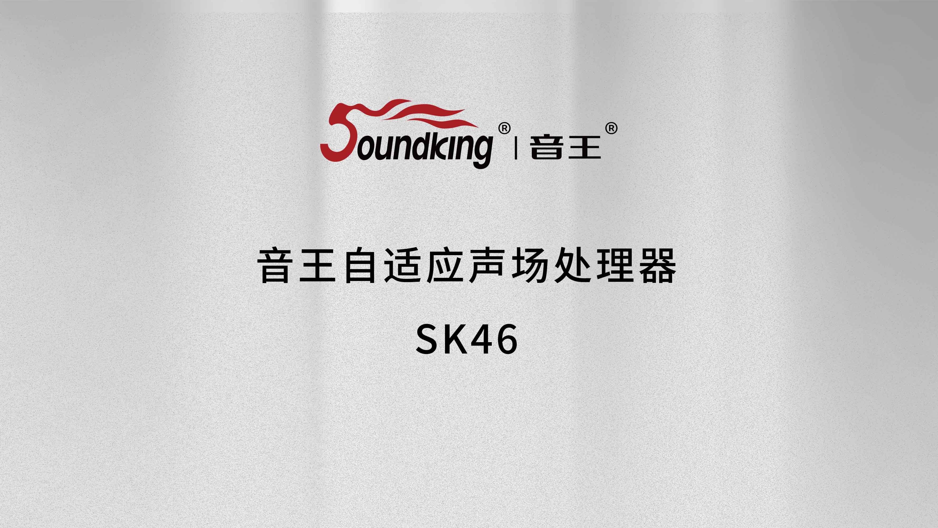 音王自适应声场处理器SK46